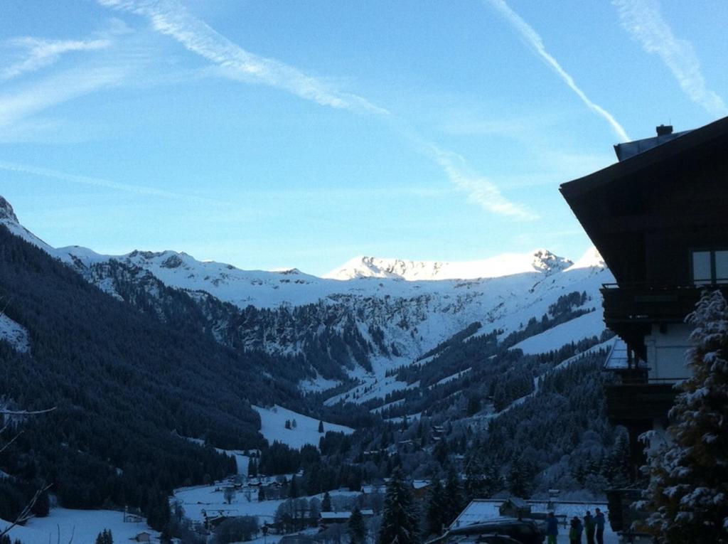 Ski In-Ski Out - Gaestehaeuser Saalbach-Hinterglemm - Wallegghof Christianhof Exteriér fotografie