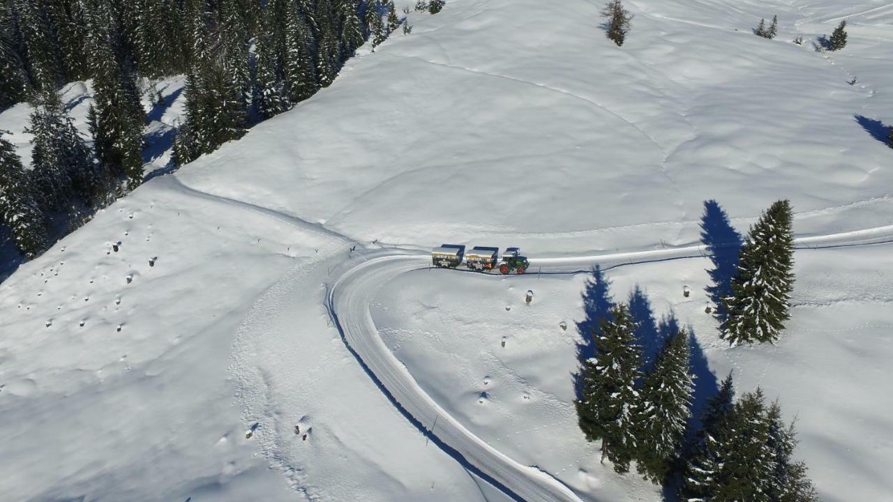 Ski In-Ski Out - Gaestehaeuser Saalbach-Hinterglemm - Wallegghof Christianhof Exteriér fotografie